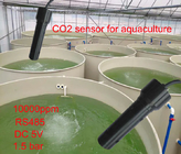 4 - el sensor de la supervisión de la calidad del agua de la inmersión 20mA disolvió el sensor del CO2 del dióxido de carbono